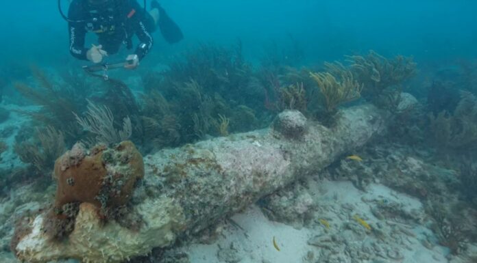 EQUIPO DE SUBMARINISTAS HALLAN UN BARCO BRITÁNICO DESAPARECIDO EN FLORIDA: FUE HUNDIDO POR ESPAÑA HACE SIGLOS