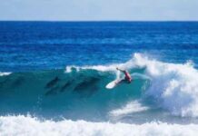 MOMENTO “MÁGICO”: SURFISTA COMPARTE OLA CON UNA MANADA DE DELFINES Y GANA COMPAEONATO MUNDIAL
