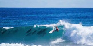 MOMENTO “MÁGICO”: SURFISTA COMPARTE OLA CON UNA MANADA DE DELFINES Y GANA COMPAEONATO MUNDIAL