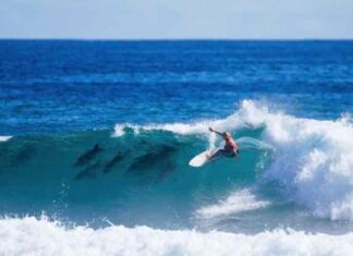 MOMENTO “MÁGICO”: SURFISTA COMPARTE OLA CON UNA MANADA DE DELFINES Y GANA COMPAEONATO MUNDIAL