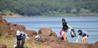 MONTECARLO: RETIRARON CASI UNA TONELADA DE BASURA DE LA COSTA DEL RÍO PARANÁ