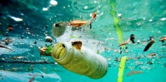 ELIMINACIÓN DE RESIDUOS EN EL MAR: ¿QUÉ NORMAS DEBEN CUMPLIR LOS NAVEGANTES?