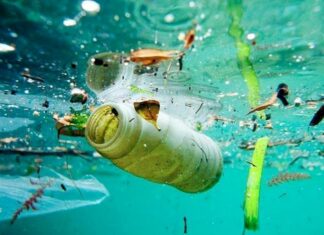 ELIMINACIÓN DE RESIDUOS EN EL MAR: ¿QUÉ NORMAS DEBEN CUMPLIR LOS NAVEGANTES?