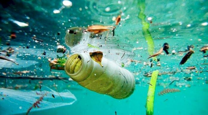 ELIMINACIÓN DE RESIDUOS EN EL MAR: ¿QUÉ NORMAS DEBEN CUMPLIR LOS NAVEGANTES?