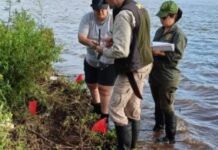 ESTUDIAN FRAGMENTOS ARQUEOLÓGICOS ENCONTRADOS BAJO EL RÍO PARANÁ