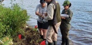 ESTUDIAN FRAGMENTOS ARQUEOLÓGICOS ENCONTRADOS BAJO EL RÍO PARANÁ