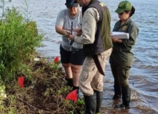 ESTUDIAN FRAGMENTOS ARQUEOLÓGICOS ENCONTRADOS BAJO EL RÍO PARANÁ