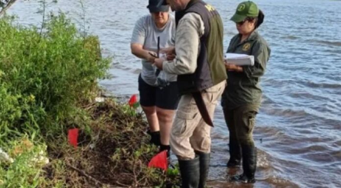 ESTUDIAN FRAGMENTOS ARQUEOLÓGICOS ENCONTRADOS BAJO EL RÍO PARANÁ