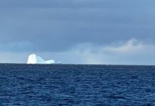 PELIGRO EN EL MAR: APARECIÓ UN ICEBERG CERCA DE LA COSTA EN TIERRA DEL FUEGO Y PUSIERON A LOS BARCOS EN ALERTA