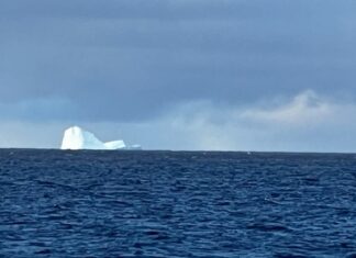 PELIGRO EN EL MAR: APARECIÓ UN ICEBERG CERCA DE LA COSTA EN TIERRA DEL FUEGO Y PUSIERON A LOS BARCOS EN ALERTA