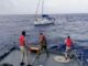 A LA DERIVA – CUATRO NAVEGANTES SON RESCATADOS EN ALTA MAR A BORDO DE UN VELERO