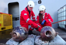 RESTOS DE NAUFRAGIO DE 3.300 AÑOS RECIENTEMENTE DESCUBIERTO EN EL MEDITERRÁNEO “CAMBIA LA COMPRENSIÓN” DE LA NAVEGACIÓN EN EL MUNDO ANTIGUO