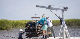 YAMAHA CELEBRA EL QUINTO ANIVERSARIO DE LA INICIATIVA RIGHTWATERS