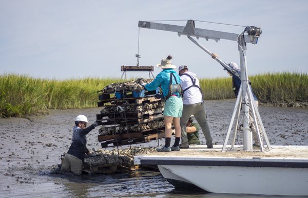 YAMAHA CELEBRA EL QUINTO ANIVERSARIO DE LA INICIATIVA RIGHTWATERS