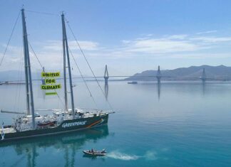 GREENPEACE CONSTRUYE EN UN ASTILLERO DE VIGO UN REVOLUCIONARIO VELERO ECOLÓGICO QUE INCORPORARÁ A SU FLOTA EN 2027