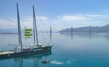 GREENPEACE CONSTRUYE EN UN ASTILLERO DE VIGO UN REVOLUCIONARIO VELERO ECOLÓGICO QUE INCORPORARÁ A SU FLOTA EN 2027