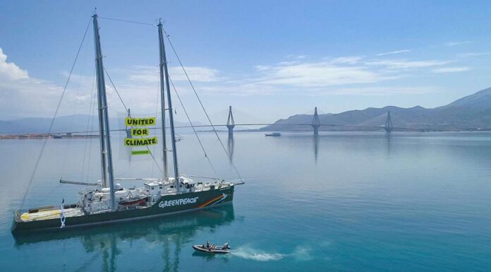 GREENPEACE CONSTRUYE EN UN ASTILLERO DE VIGO UN REVOLUCIONARIO VELERO ECOLÓGICO QUE INCORPORARÁ A SU FLOTA EN 2027