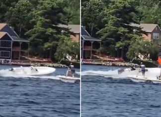 UN ADOLESCENTE SALTA A UNA LANCHA FUERA DE CONTROL Y EVITA UN ACCIDENTE EN UN LAGO DE EEUU