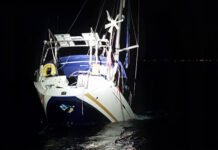 NUEVO ATAQUE DE LAS ORCAS EN EL ESTRECHO DE GIBRALTAR: HUNDEN UN VELERO Y TIENEN QUE RESCATAR A SUS TRES TRIPULANTES