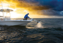 MOTORES PARA TROLLING – GARMIN MEJORA LA GAMA FORCE KRAKEN