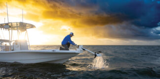 MOTORES PARA TROLLING – GARMIN MEJORA LA GAMA FORCE KRAKEN