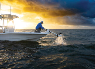 MOTORES PARA TROLLING – GARMIN MEJORA LA GAMA FORCE KRAKEN