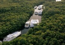 CANCÚN: UTILIZARON LOS MANGLARES PARA RESGUARDAR YATES ANTE EL PASO DEL HURACÁN “BERYL”