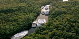 CANCÚN: UTILIZARON LOS MANGLARES PARA RESGUARDAR YATES ANTE EL PASO DEL HURACÁN “BERYL”