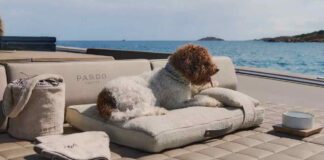 POLDO DOG COUTURE, EL LUJOSO KIT PARA PERROS EN BARCO