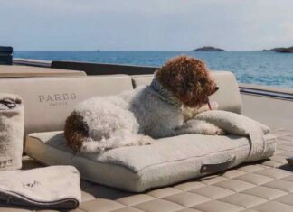 POLDO DOG COUTURE, EL LUJOSO KIT PARA PERROS EN BARCO