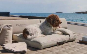 POLDO DOG COUTURE, EL LUJOSO KIT PARA PERROS EN BARCO