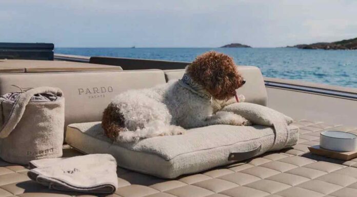 POLDO DOG COUTURE, EL LUJOSO KIT PARA PERROS EN BARCO