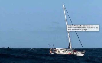 OTRO ASALTO DE ORCA A BARCO EN LA COSTA ESPAÑOLA REAVIVA EL DEBATE