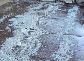 CONTAMINACIÓN EN EL RÍO PARANÁ: AMBIENTALISTAS ACUSAN A UNA GUARDERÍA NÁUTICA DE BAIGORRIA EN ROSARIO