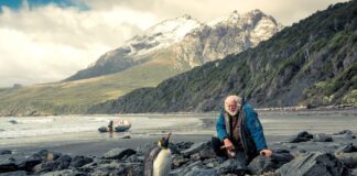 UN VECINO DE EL CALAFATE PRESENTARÁ: “ANTÁRTIDA EN VELERO, CRÓNICAS DE UN NAVEGANTE”