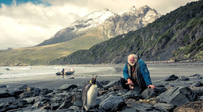 UN VECINO DE EL CALAFATE PRESENTARÁ: “ANTÁRTIDA EN VELERO, CRÓNICAS DE UN NAVEGANTE”