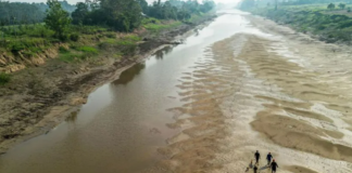 LA CRISIS DEL AMAZONAS: SEQUÍA EXTREMA AMENAZA LA NAVEGACIÓN Y LA ECONOMÍA REGIONAL