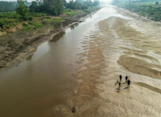 LA CRISIS DEL AMAZONAS: SEQUÍA EXTREMA AMENAZA LA NAVEGACIÓN Y LA ECONOMÍA REGIONAL