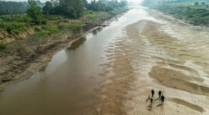 LA CRISIS DEL AMAZONAS: SEQUÍA EXTREMA AMENAZA LA NAVEGACIÓN Y LA ECONOMÍA REGIONAL