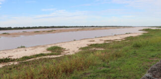 PUERTO RECONQUISTA: PREFECTURA ADVIERTE SOBRE LA NAVEGACIÓN Y SE PREPARA PARA EL CONSURSO DE PESCA DEL SURUBÍ