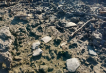 SAN PEDRO – ENCUENTRAN UN IMPORTANTE YACIMIENTO ARQUEOLÓGICO EN EL DELTA DEL RÍO PARANÁ