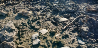 SAN PEDRO – ENCUENTRAN UN IMPORTANTE YACIMIENTO ARQUEOLÓGICO EN EL DELTA DEL RÍO PARANÁ