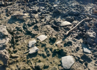 SAN PEDRO – ENCUENTRAN UN IMPORTANTE YACIMIENTO ARQUEOLÓGICO EN EL DELTA DEL RÍO PARANÁ