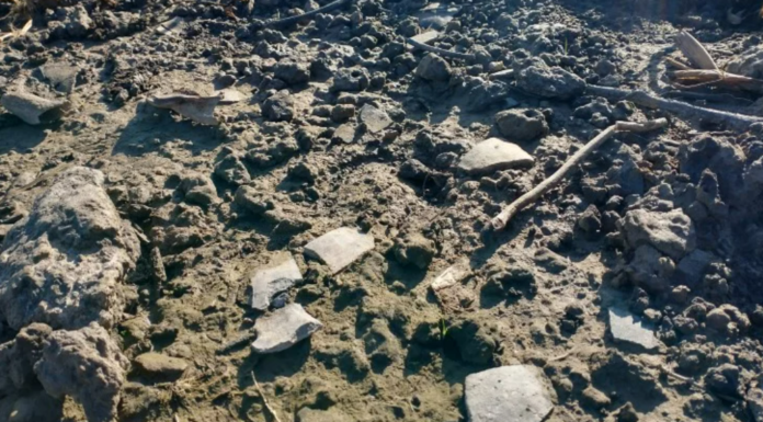 SAN PEDRO – ENCUENTRAN UN IMPORTANTE YACIMIENTO ARQUEOLÓGICO EN EL DELTA DEL RÍO PARANÁ