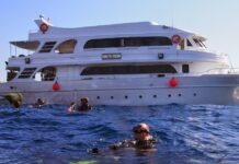 SE HUNDIÓ UN BARCO QUE HACÍA UNA EXPEDICIÓN DE BUDEO EN EL MAR ROJO: HAY TURISTAS DESAPARECIDOS