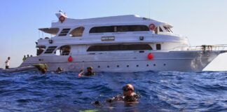 SE HUNDIÓ UN BARCO QUE HACÍA UNA EXPEDICIÓN DE BUDEO EN EL MAR ROJO: HAY TURISTAS DESAPARECIDOS