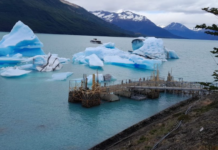 GRANDES TÉMPANOS CERCA DEL MUELLE IMPIDEN LA NAVEGACIÓN EN EL GLACIAR PERITO MORENO