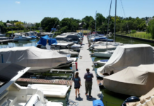 ARBA RECUPERÓ $54 MILLONES TRAS OPERATIVOS EN YATES