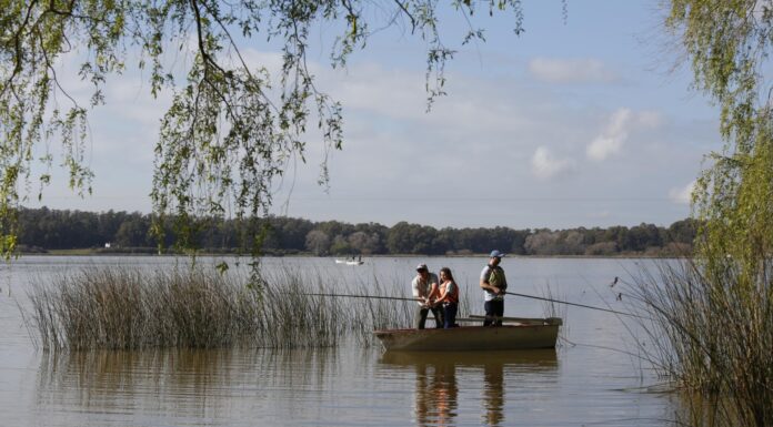 IMPONEN VEDA DE PESCA POR LA FIESTA NACIONAL DEL SURUBÍ