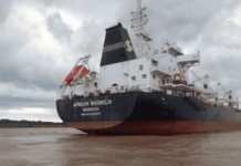 UN BARCO PERMANECIÓ DETENIDO EN EL PUERTO DE ROSARIO POR LA MUERTE DE UN MARINERO